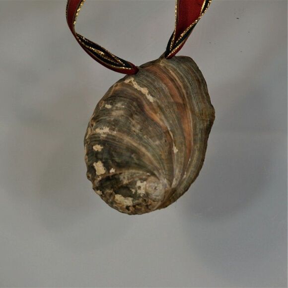 Vintage Christmas Shell Ornament Nativity Scene Diorama In Oyster Shell - Picture 4 of 7